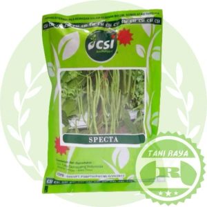 kacang buncis specta 500gr