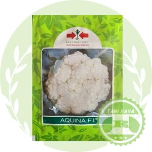 brocoli aquina f1 10 gram