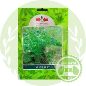 seledri amigo 10.000 butir