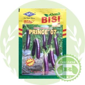 terong ungu prince 07 f1 10 gram