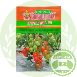 bibit tomat citra asia f1 5 gram